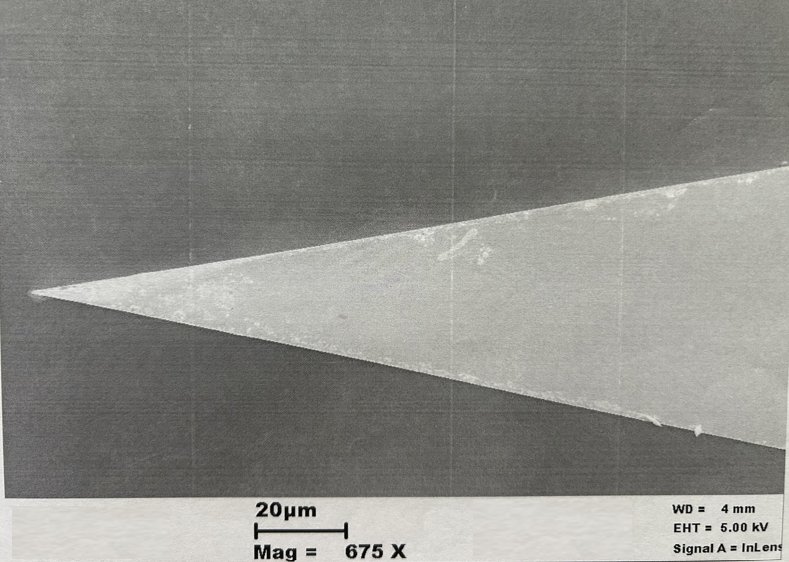 Silicon microneedle SEM image 675x magnification